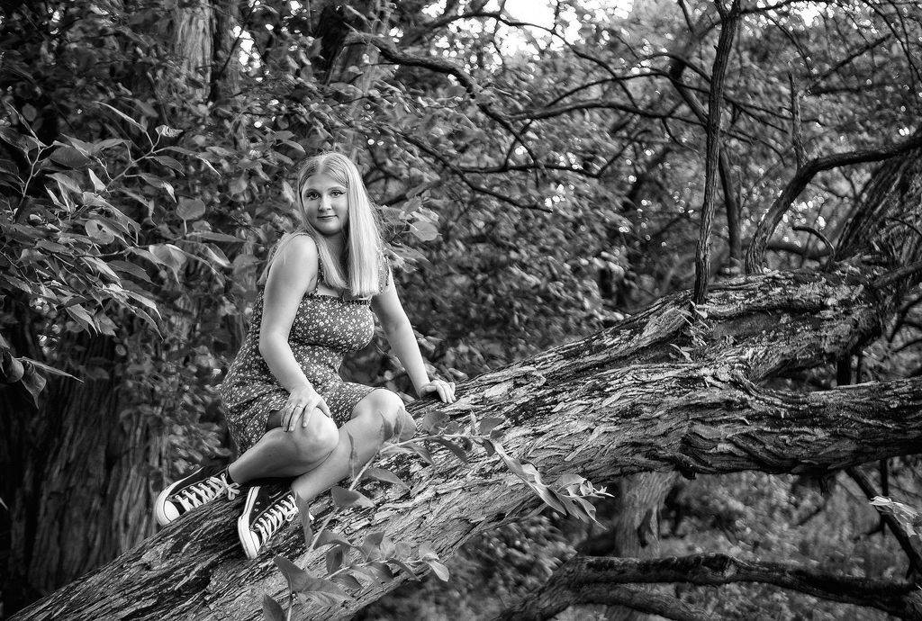 Chicago Senior Photographer 3 Suburban Chicago Photography - a blonde senior girl photographed on a tree in a preservation area