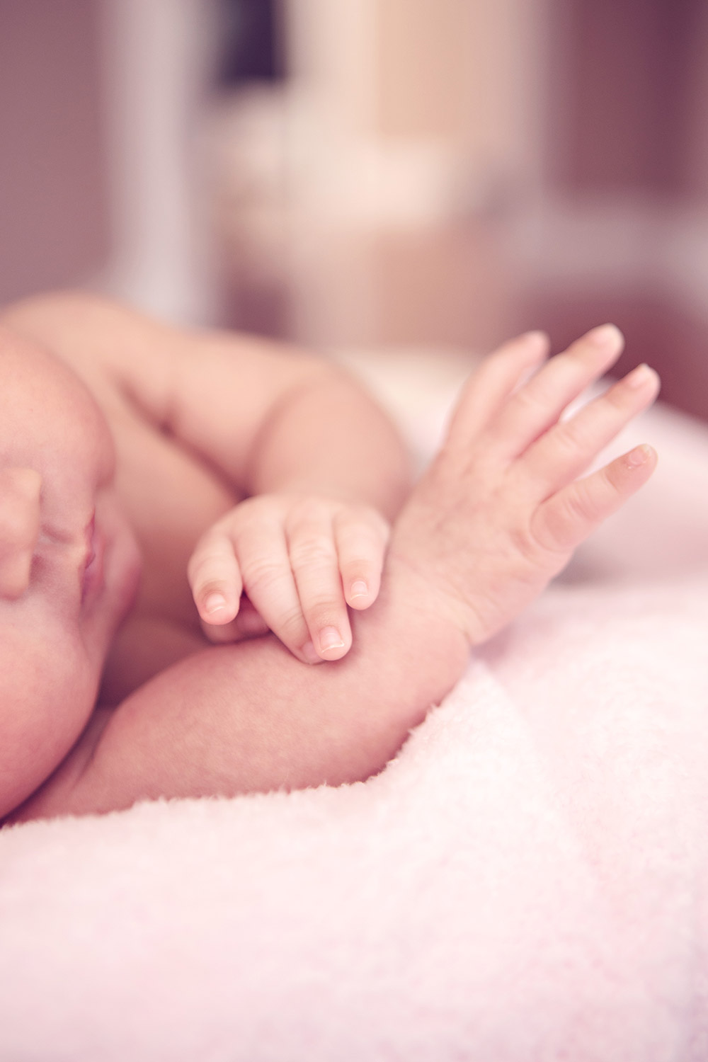 baby photographs chicago