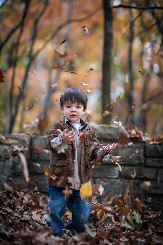 Chicago and Suburban Child Photographer 13 Chicago child photographer - fun fall photo of a preschooler by Marmalade Photography