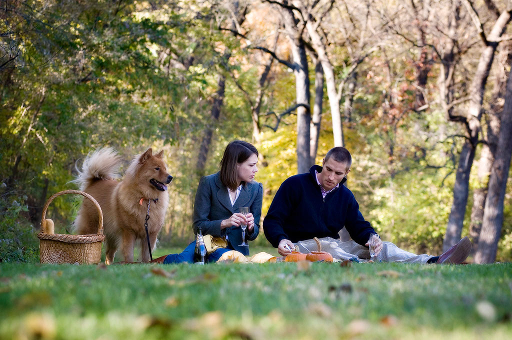 LET'S TALK DETAILS 16 couples photography chicagoland