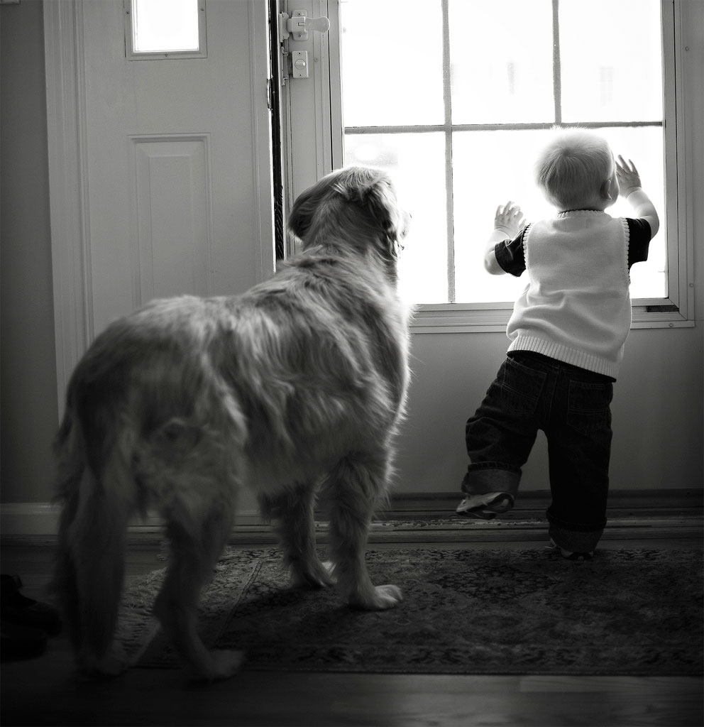 A toddler and his dog in the far north suburbs, at home, early Marmalade Photography photo on location