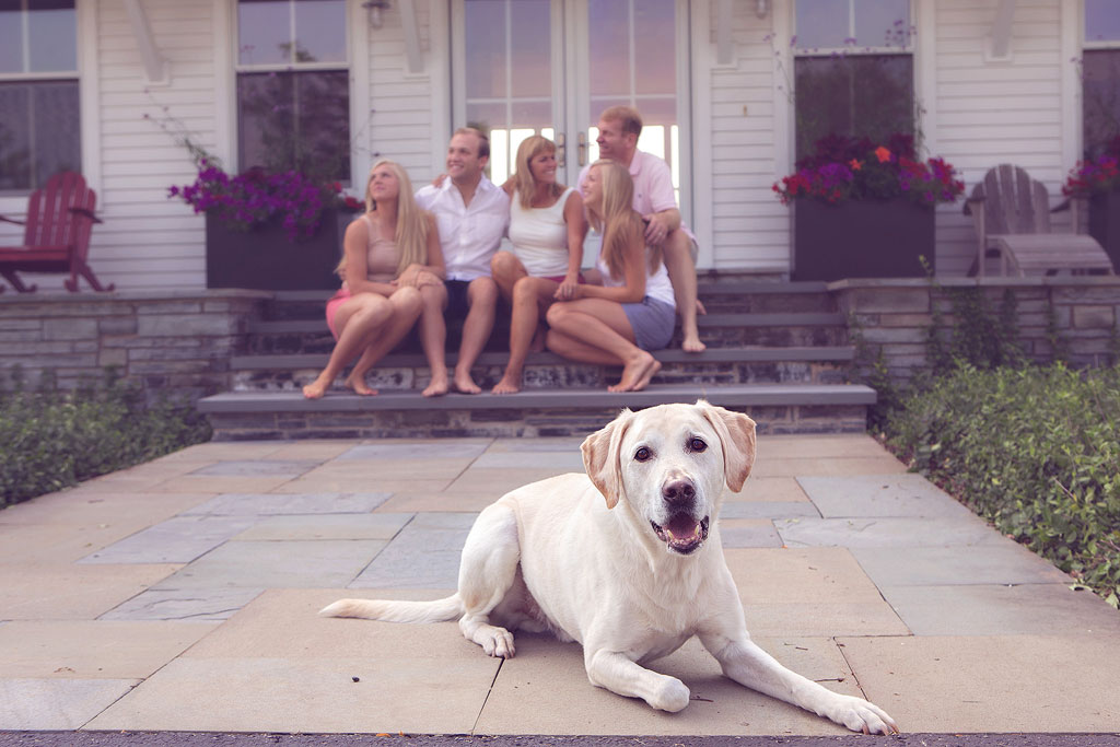 FAQ 19 Hawthorn Woods lifestyle photography session with Marmalade Photography