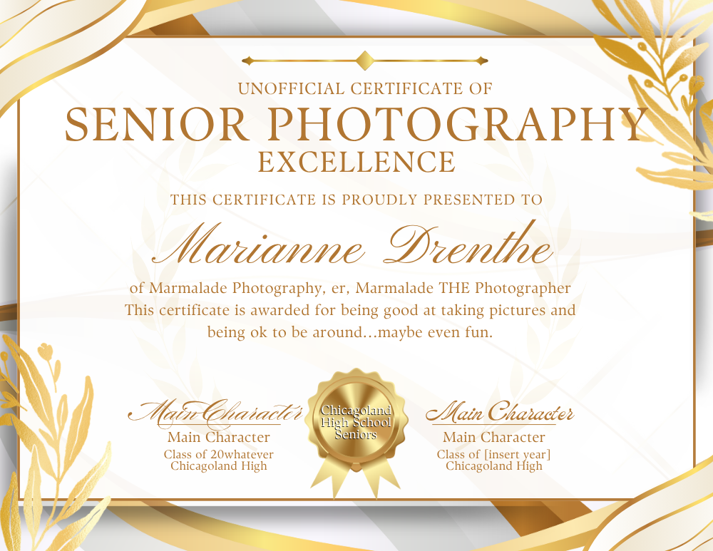 Chicago Senior Photographer 18 Unofficial HS Senior Photography Award
